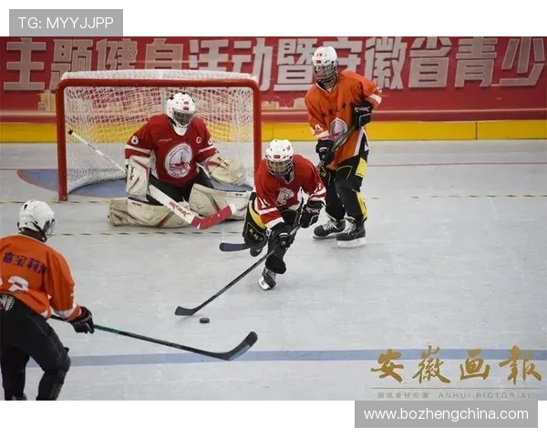 三亿体育地址平台最新入口全面解析助你轻松畅享体育赛事直播体验